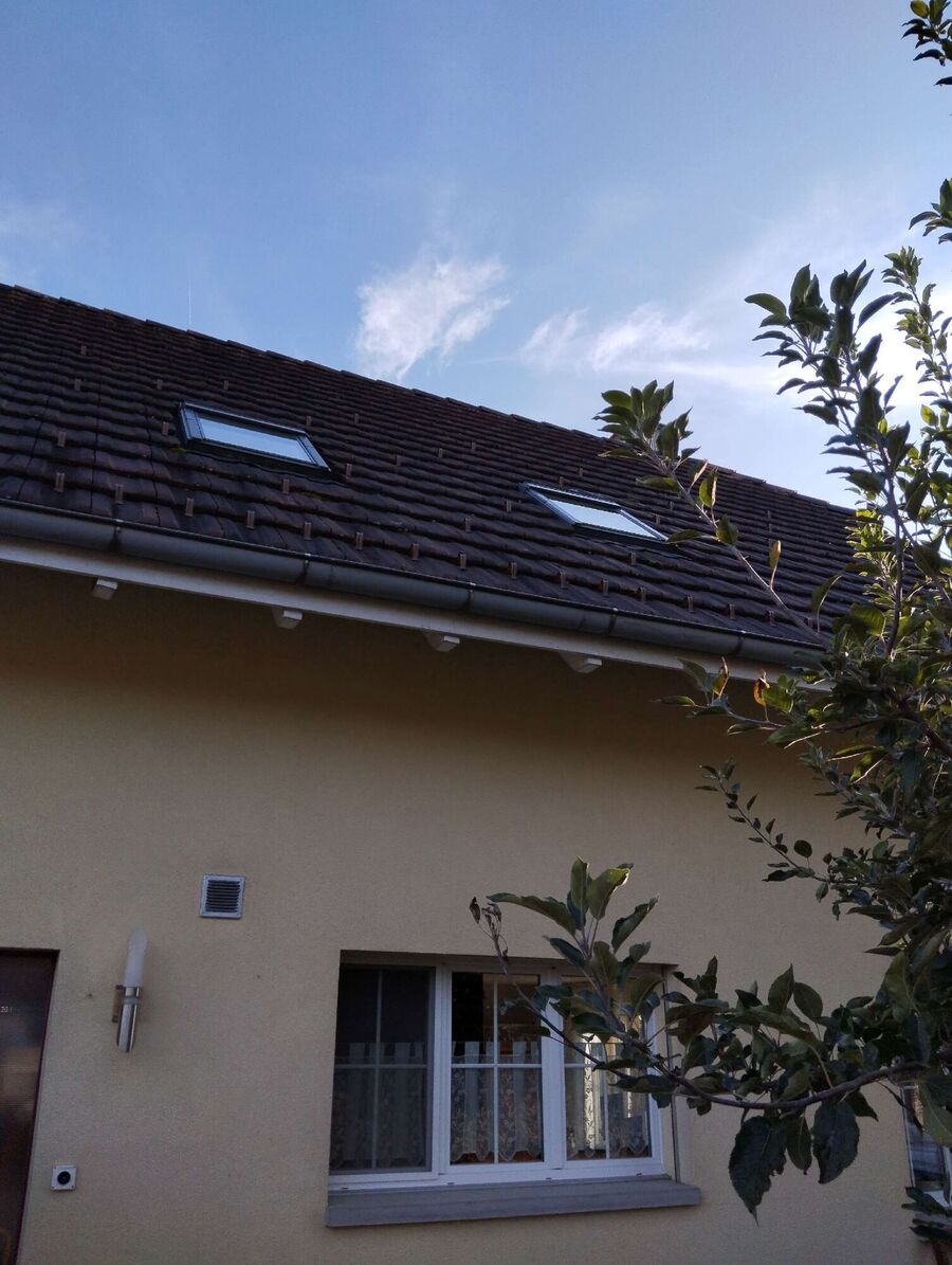 Bee nest at the house remove