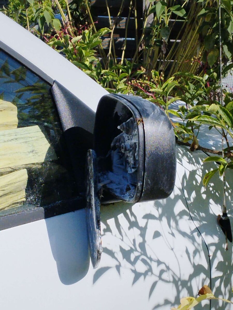 Bee nest at the house remove