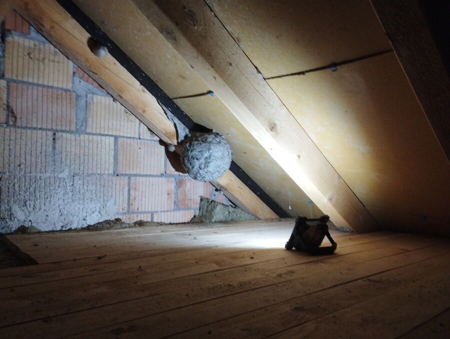 Bee nest at the house remove