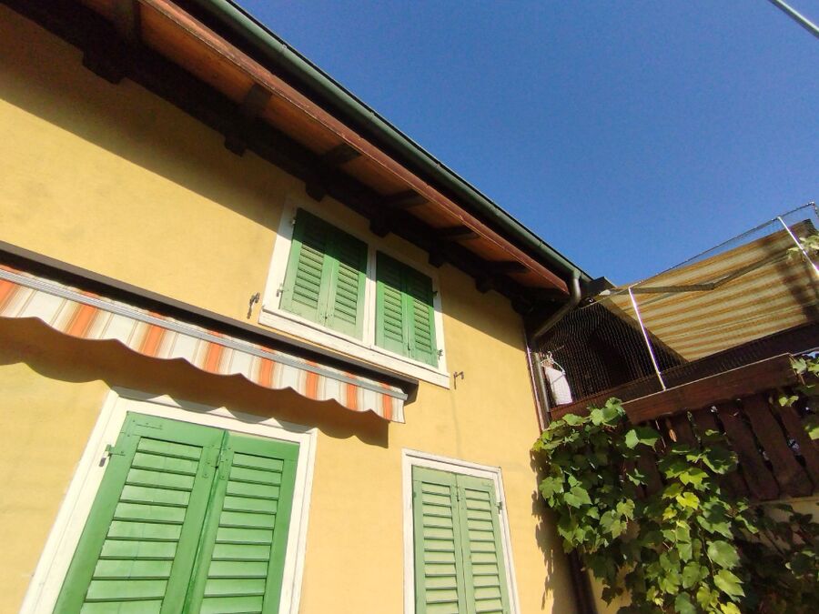 Bee nest at the house remove