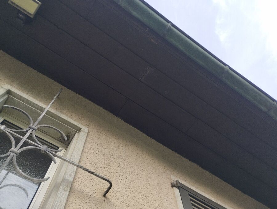 Relocate bees & remove bee nest