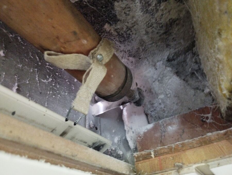 Relocate bees & remove bee nest