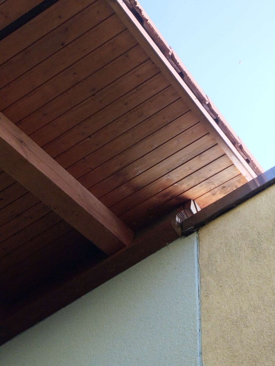 Bee nest at the house remove