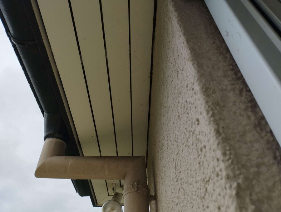 Bee nest at the house remove