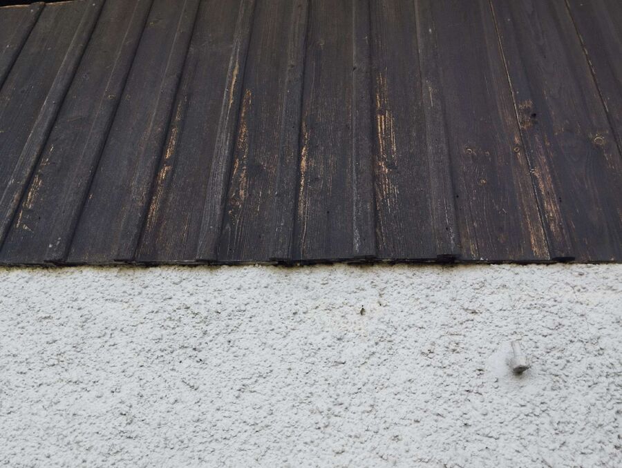 Relocate bees & remove bee nest