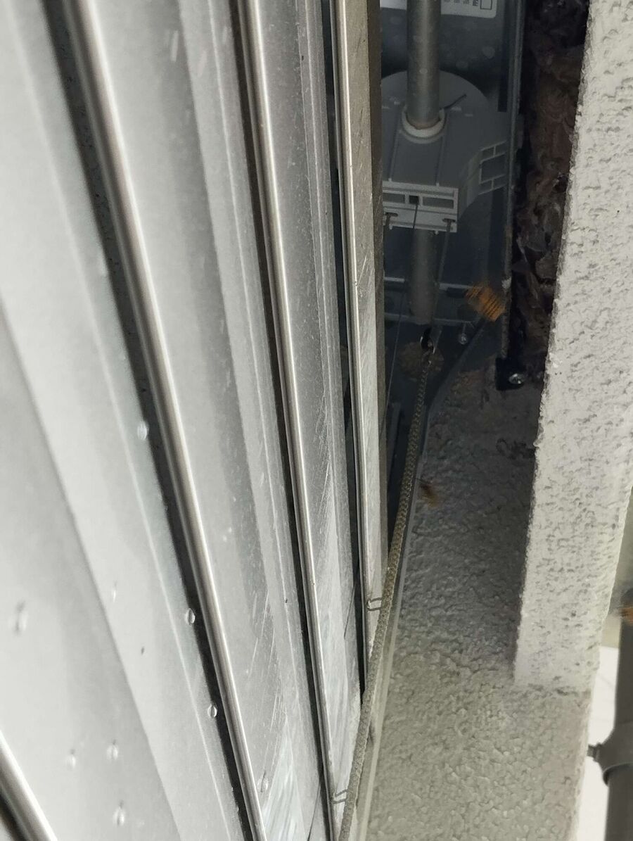 Bee nest at the house remove