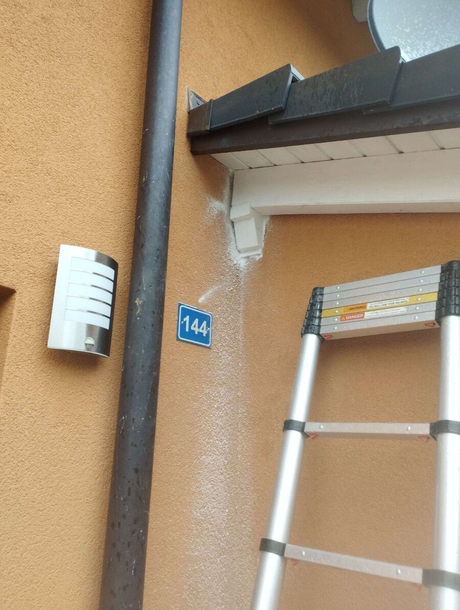 Bee nest at the house remove