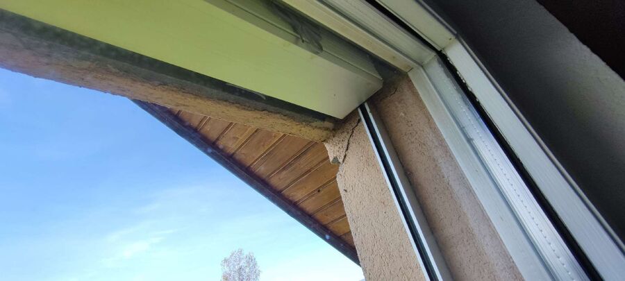 Relocate bees & remove bee nest