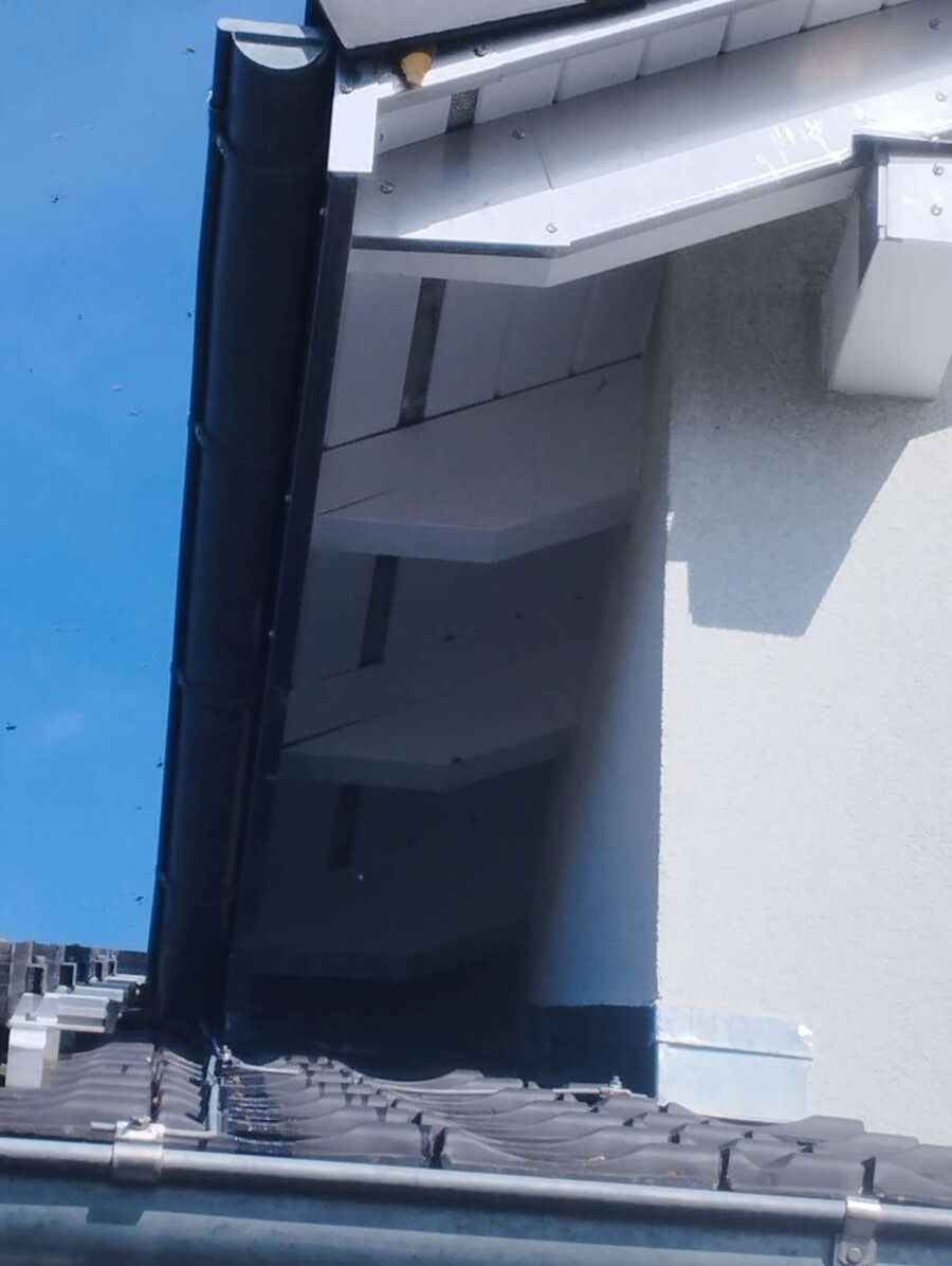 Bee nest at the house remove