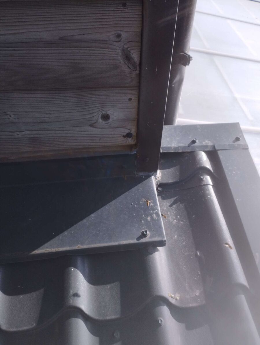 Relocate bees & remove bee nest