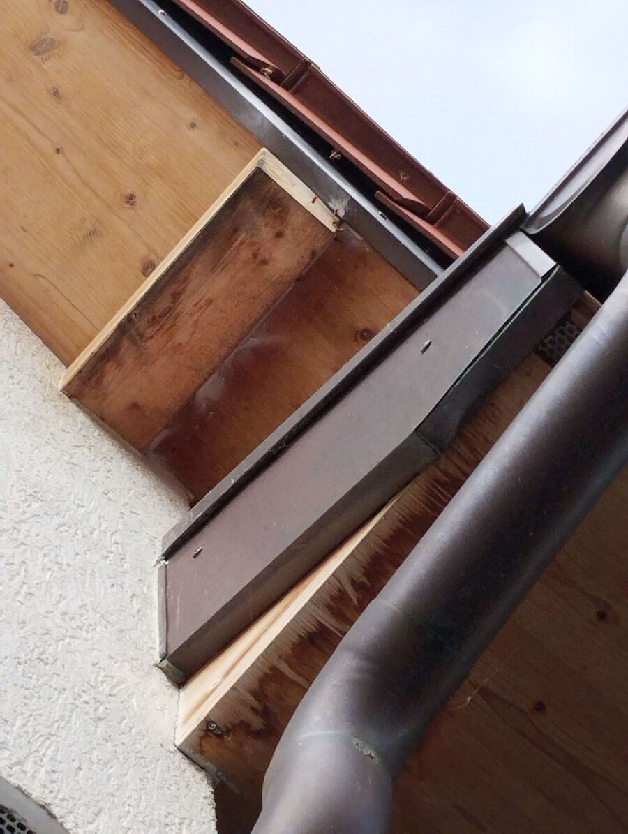 Bee nest at the house remove