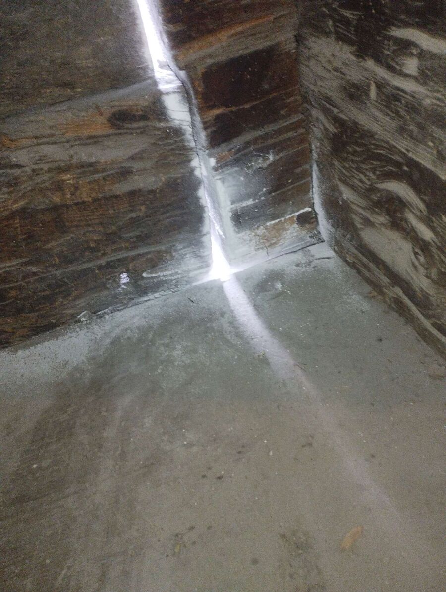 Bee nest at the house remove