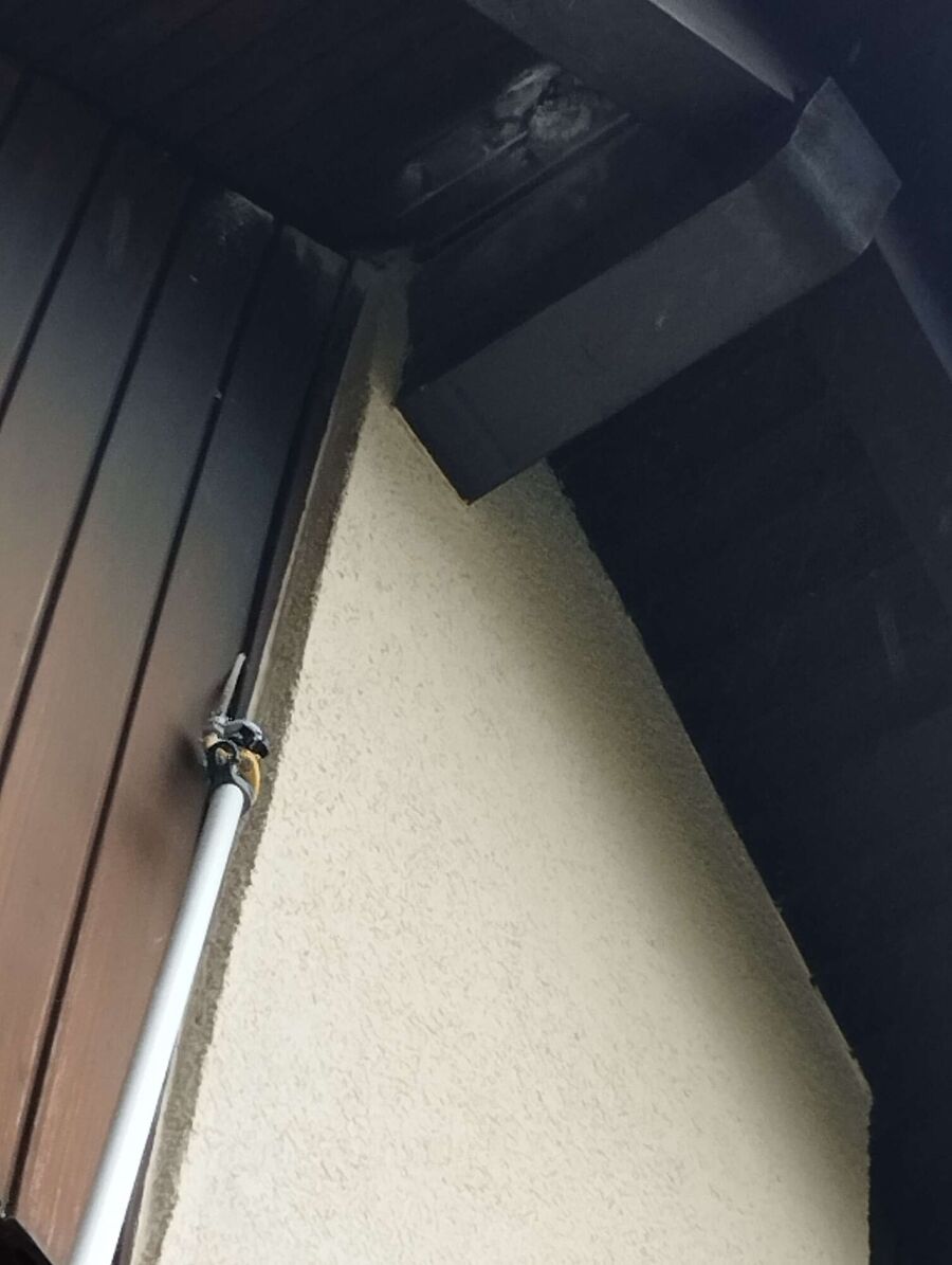 Bee nest at the house remove