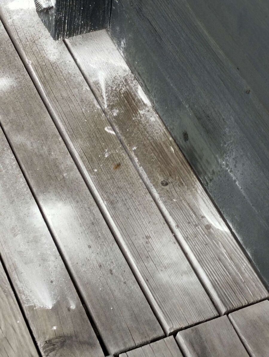 Relocate bees & remove bee nest