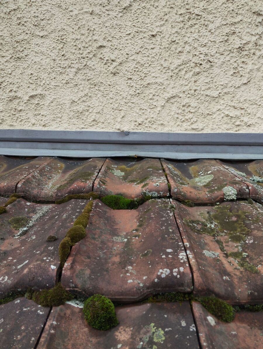 Bee nest at the house remove