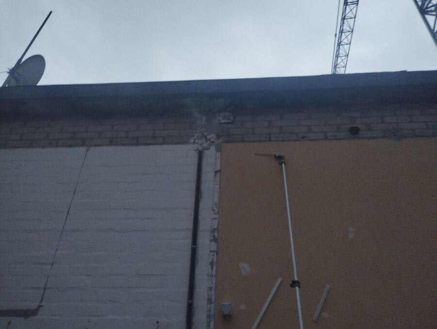 Relocate bees & remove bee nest