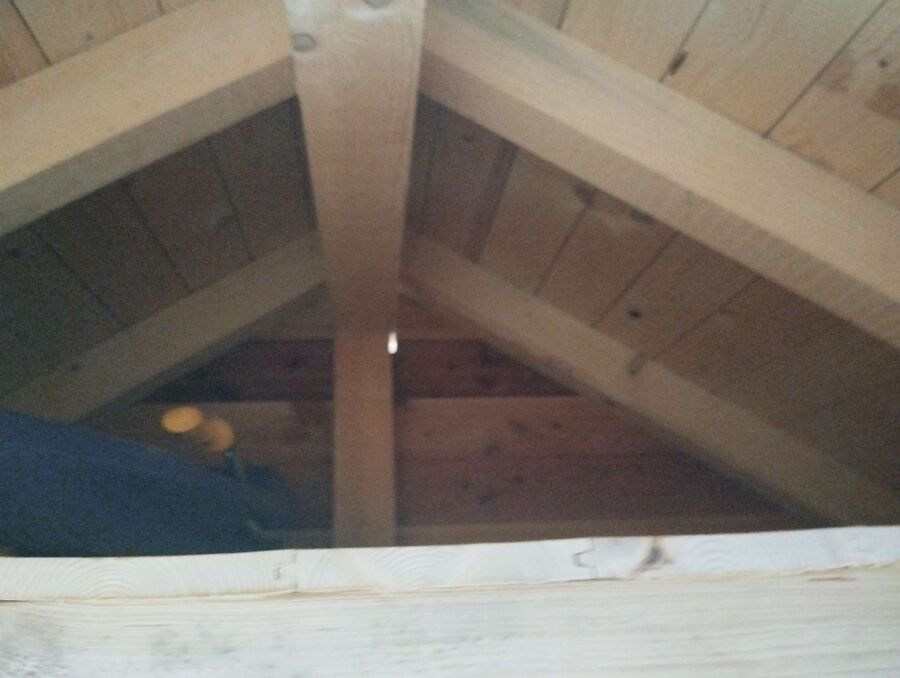 Relocate bees & remove bee nest