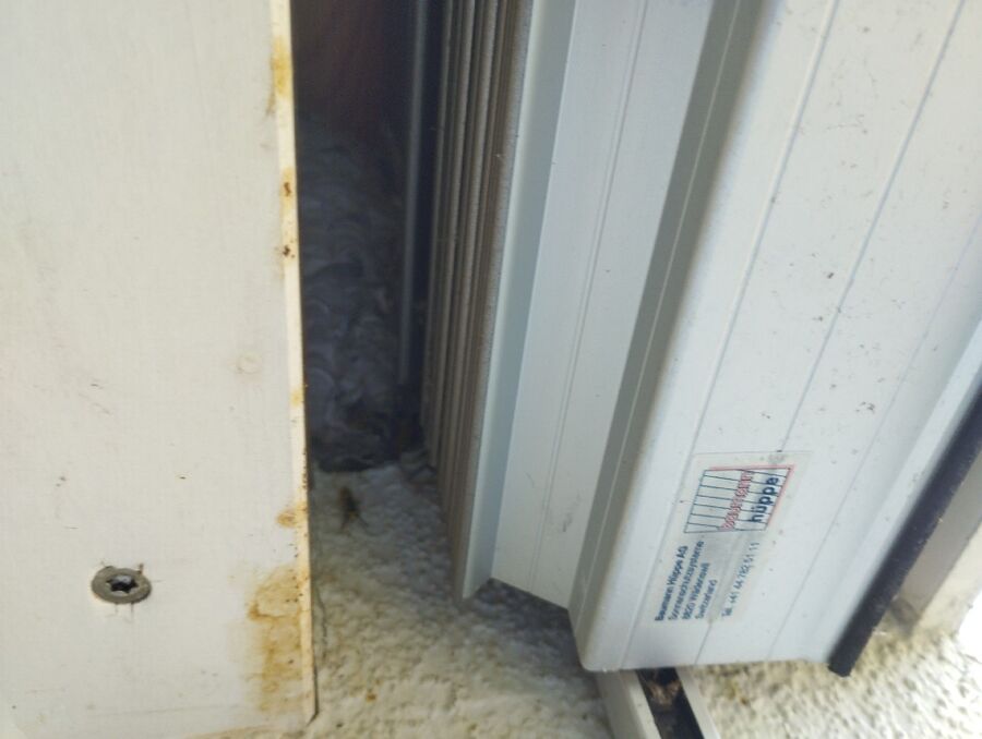 Bee nest at the house remove