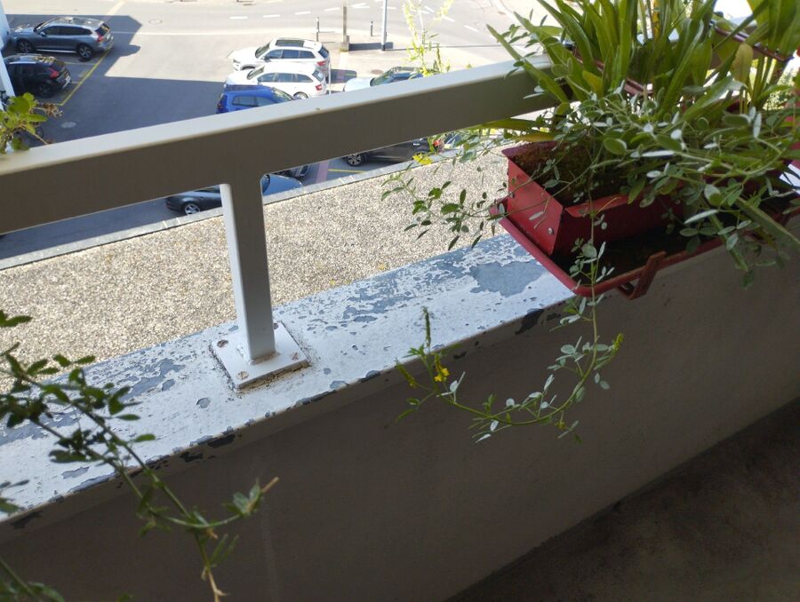 Bee nest at the house remove