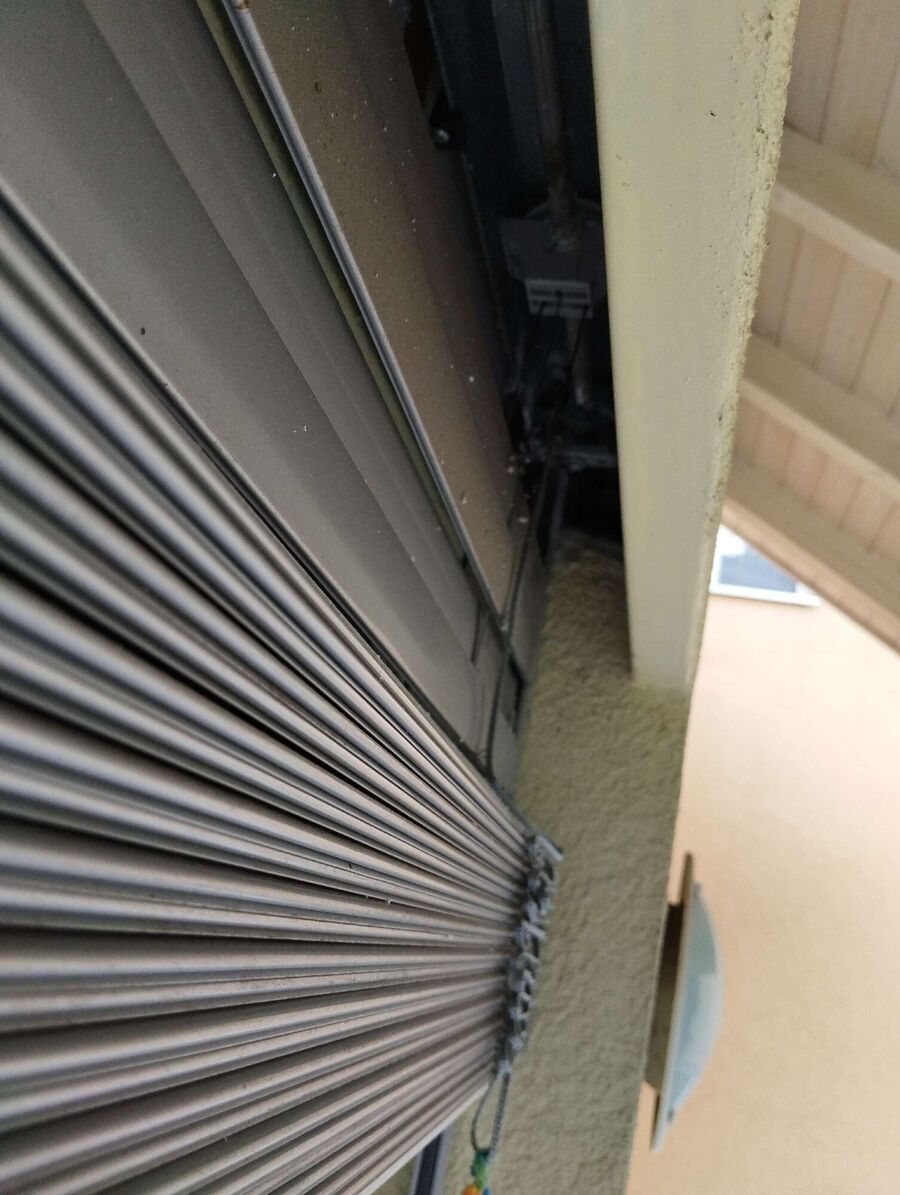 Relocate bees & remove bee nest