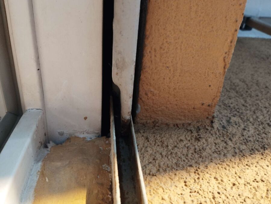 Relocate bees & remove bee nest