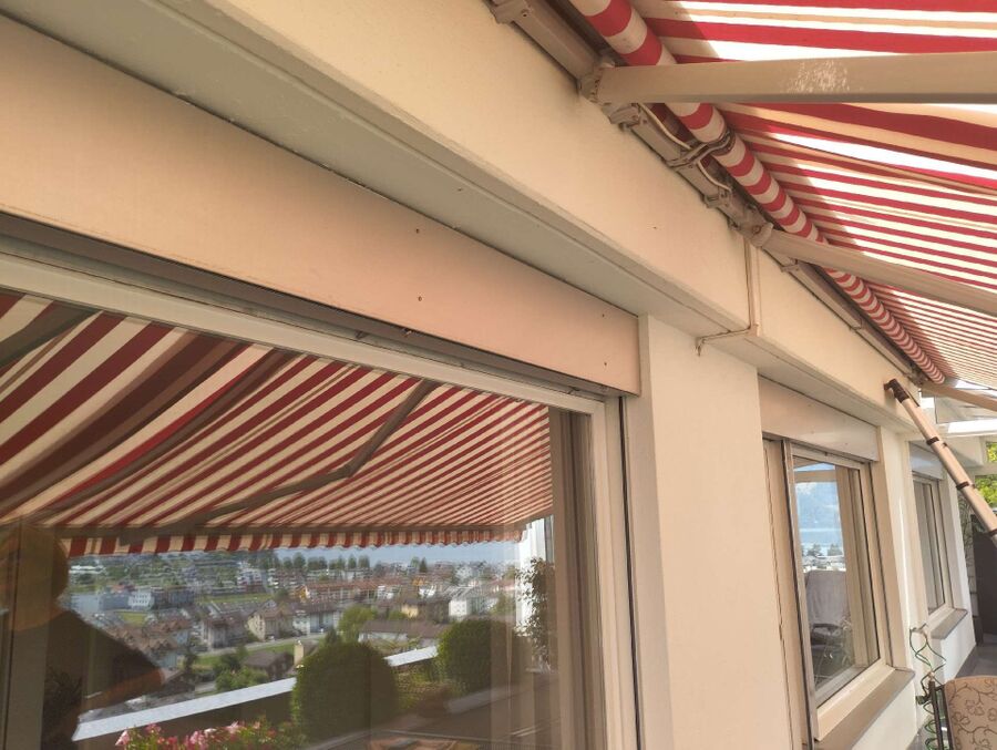 Bee nest at the house remove