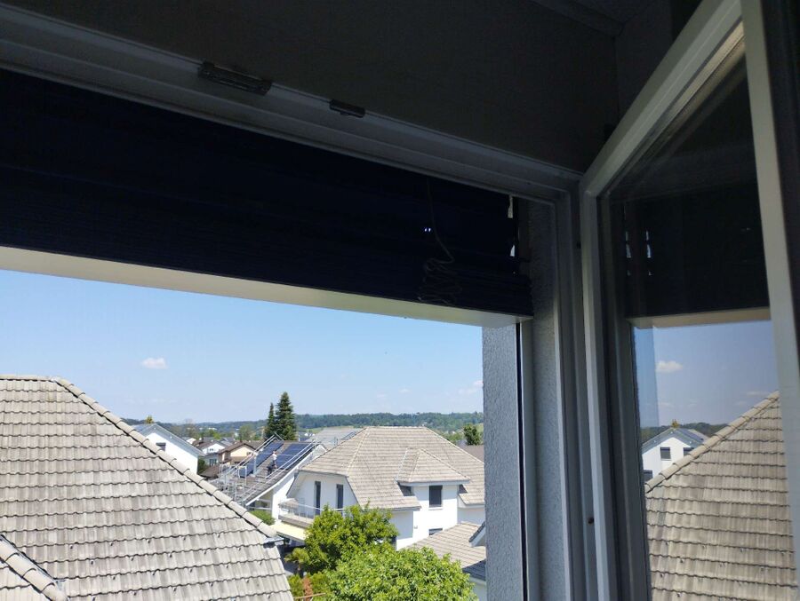 Relocate bees & remove bee nest