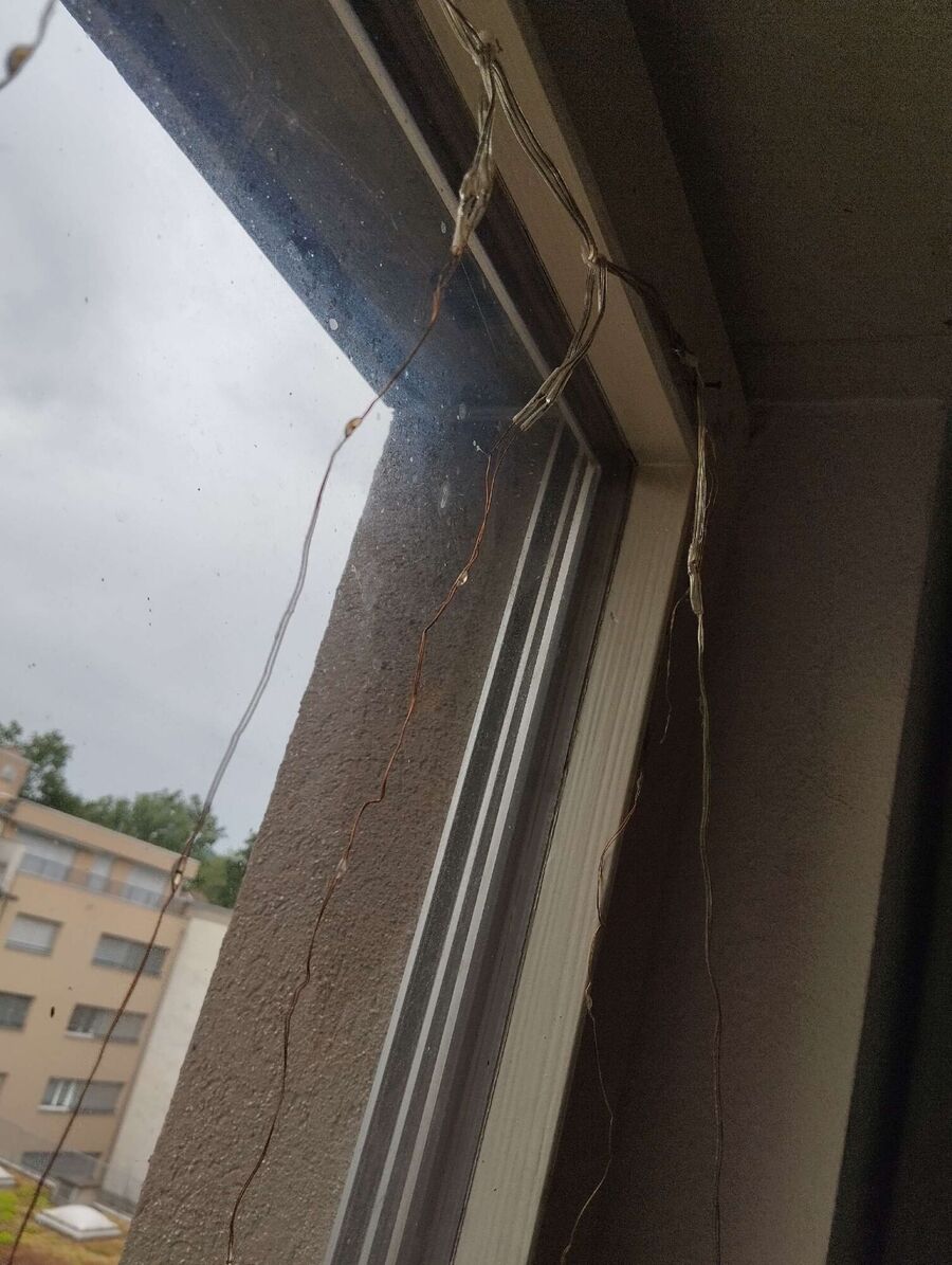 Bee nest at the house remove