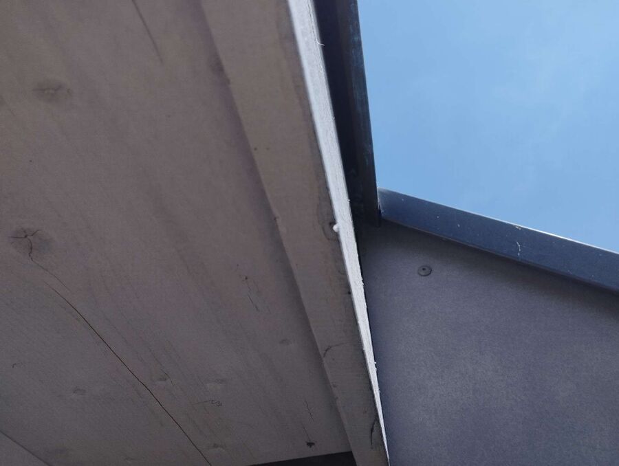 Relocate bees & remove bee nest