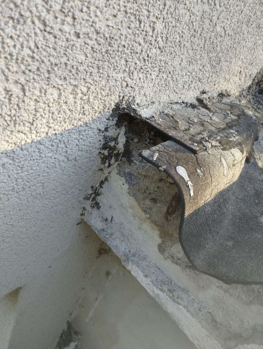 Bee nest at the house remove