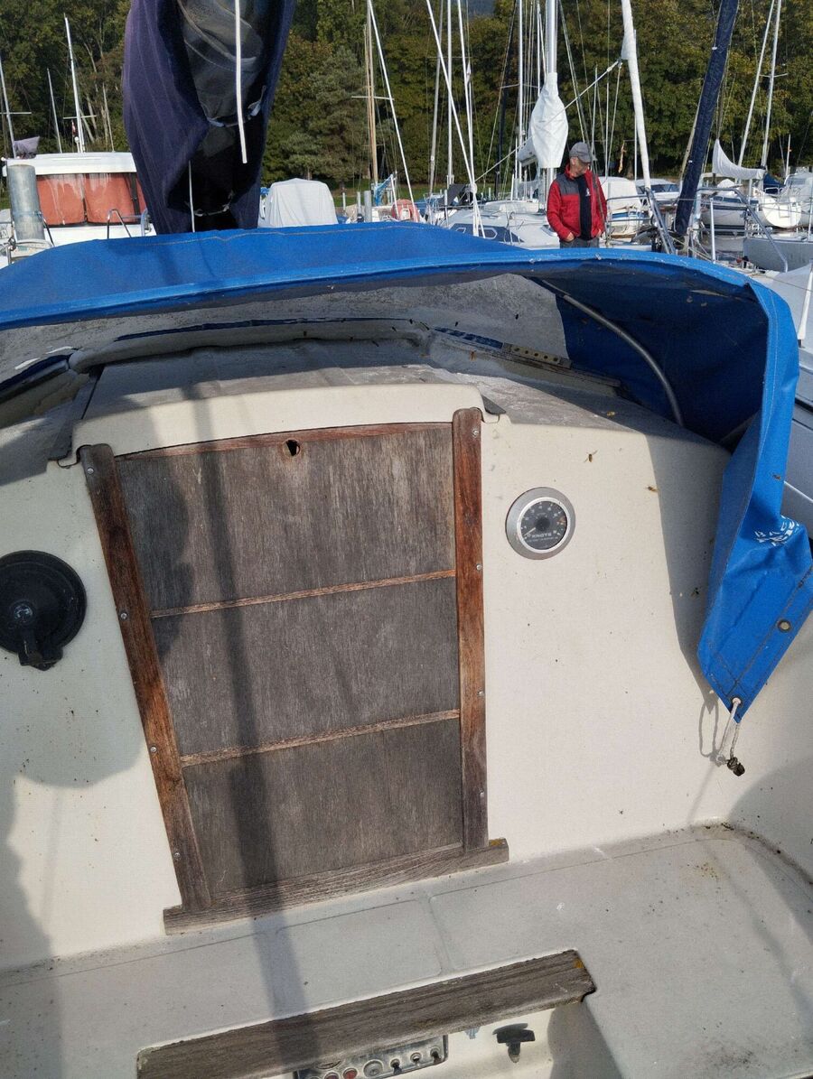 Relocate bees & remove bee nest