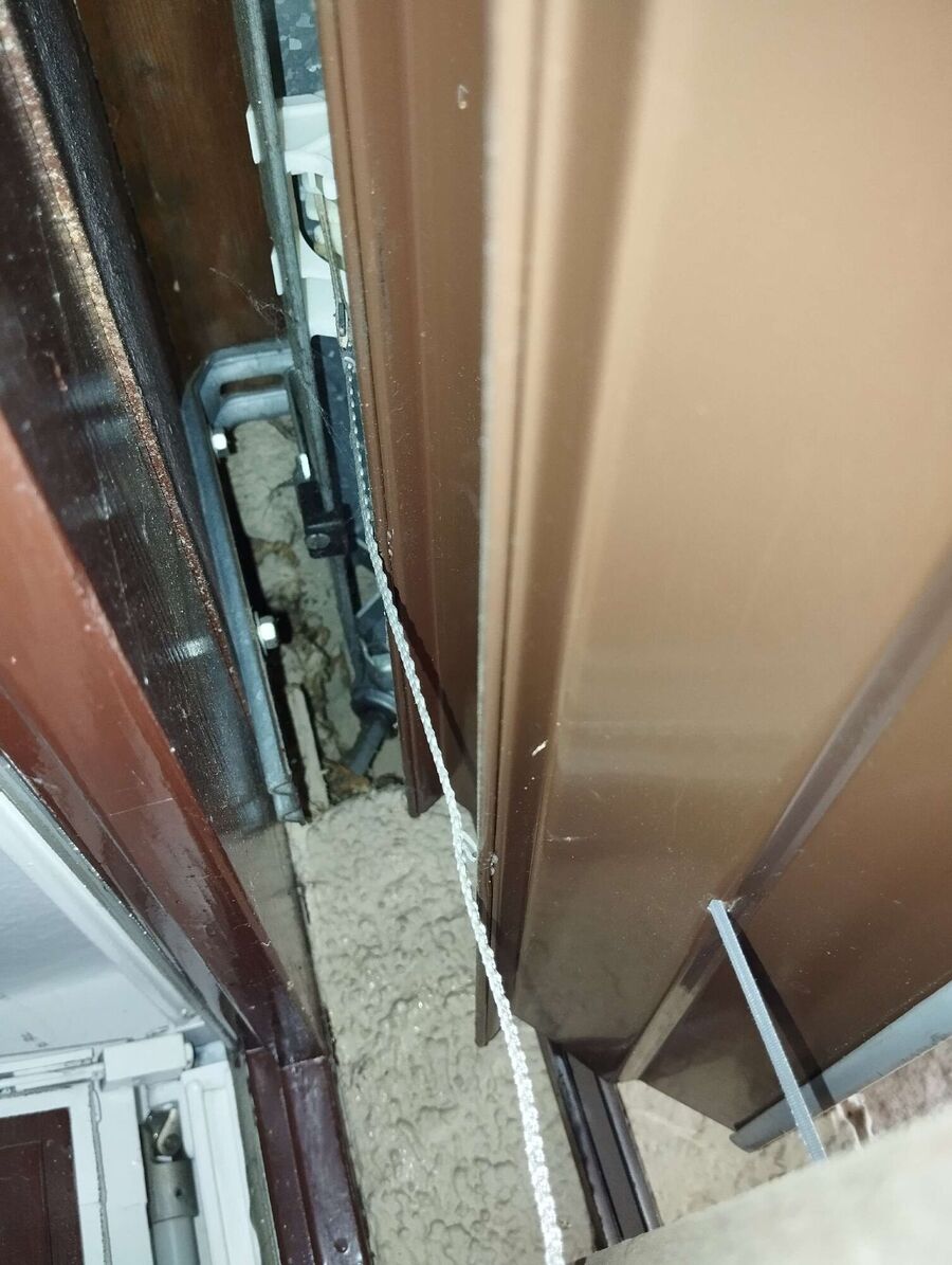 Bee nest at the house remove