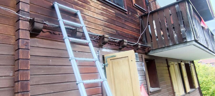 Bee nest at the house remove