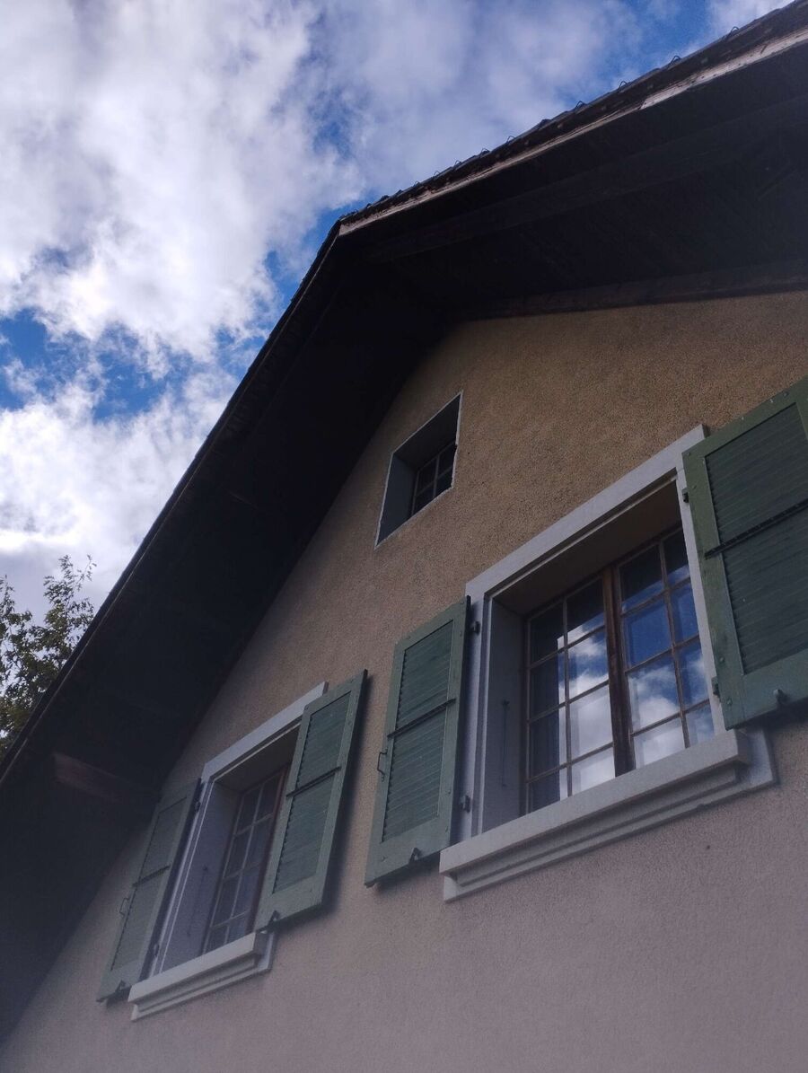 Relocate bees & remove bee nest