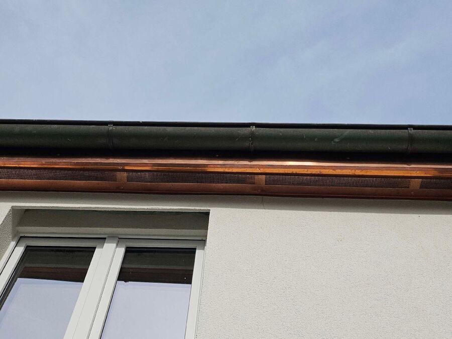 Bee nest at the house remove