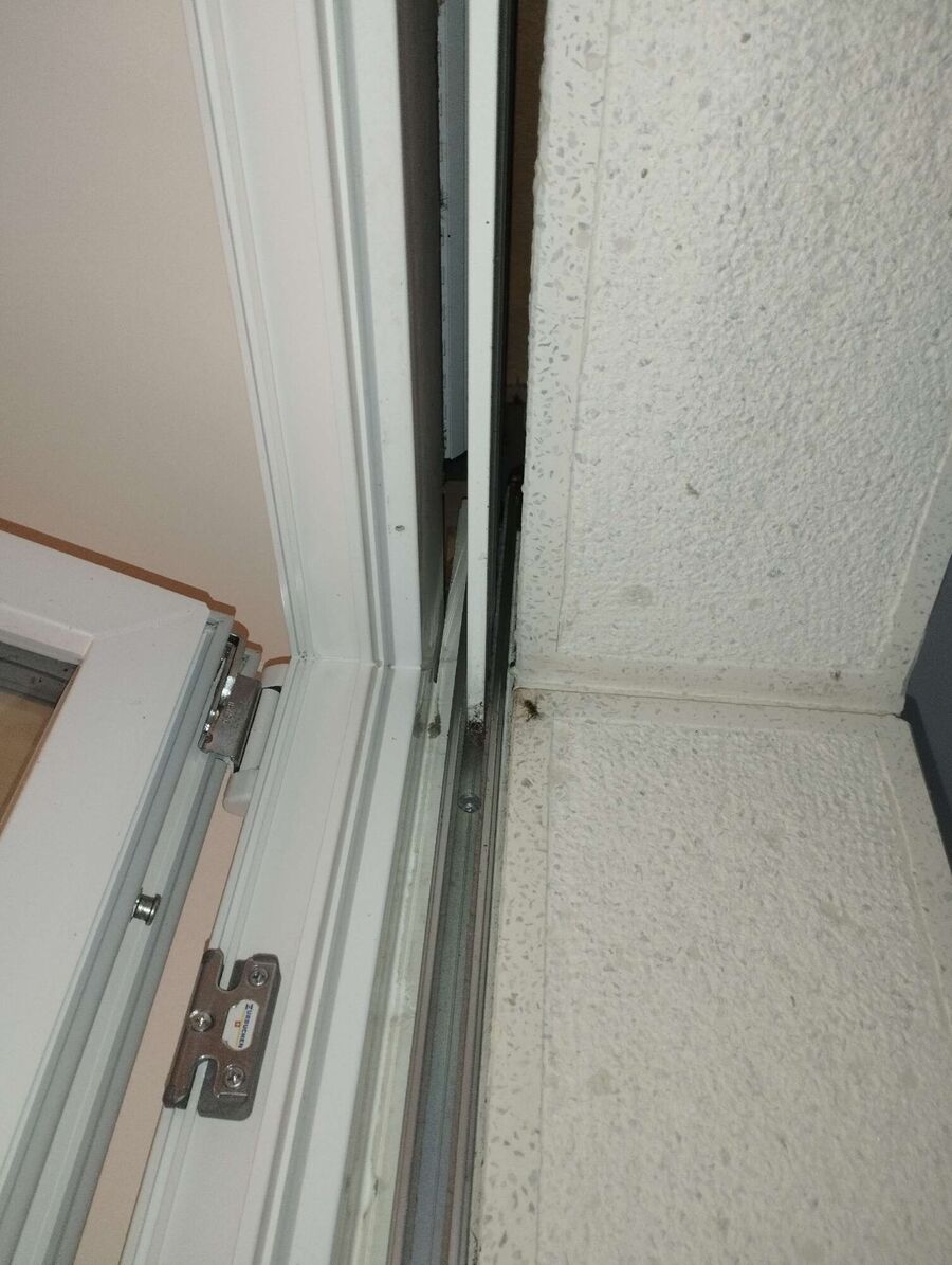 Bee nest at the house remove