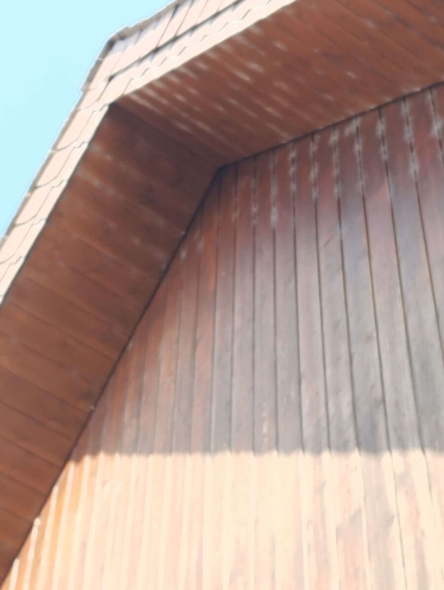 Bee nest at the house remove