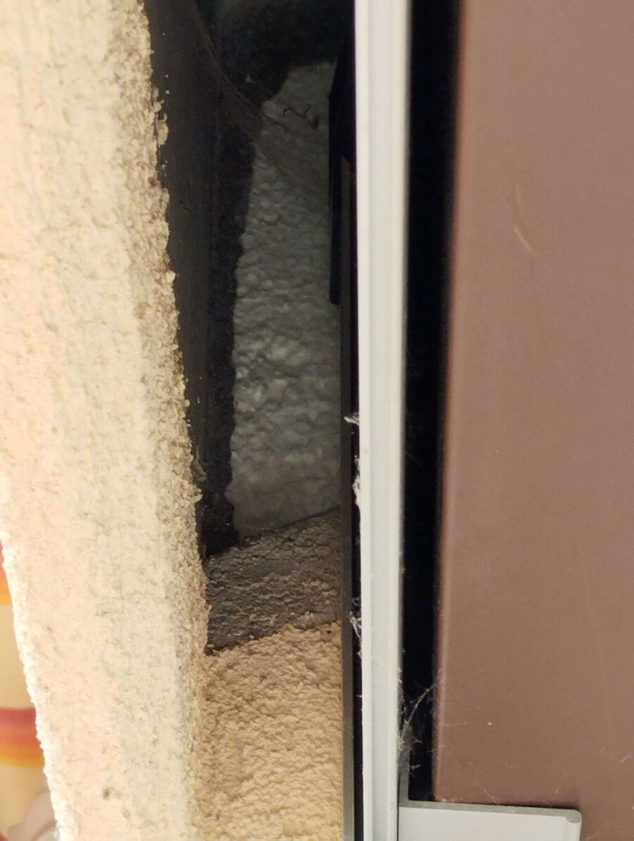 Bee nest at the house remove