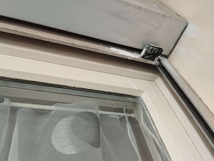 Relocate bees & remove bee nest