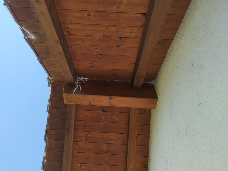 Bee nest at the house remove