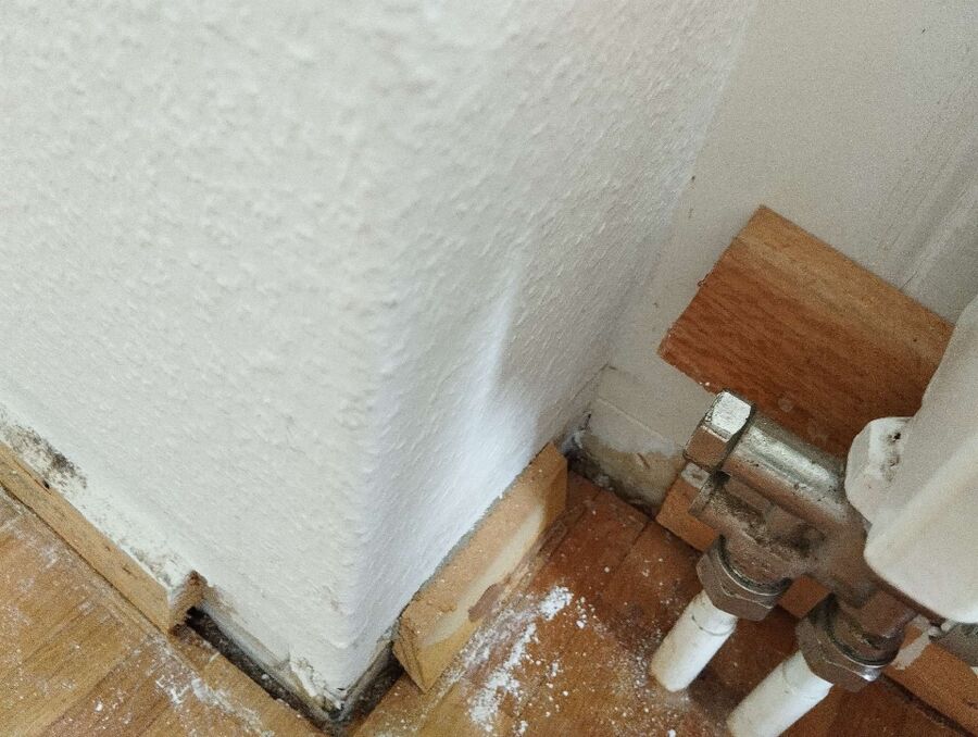 Bee nest at the house remove