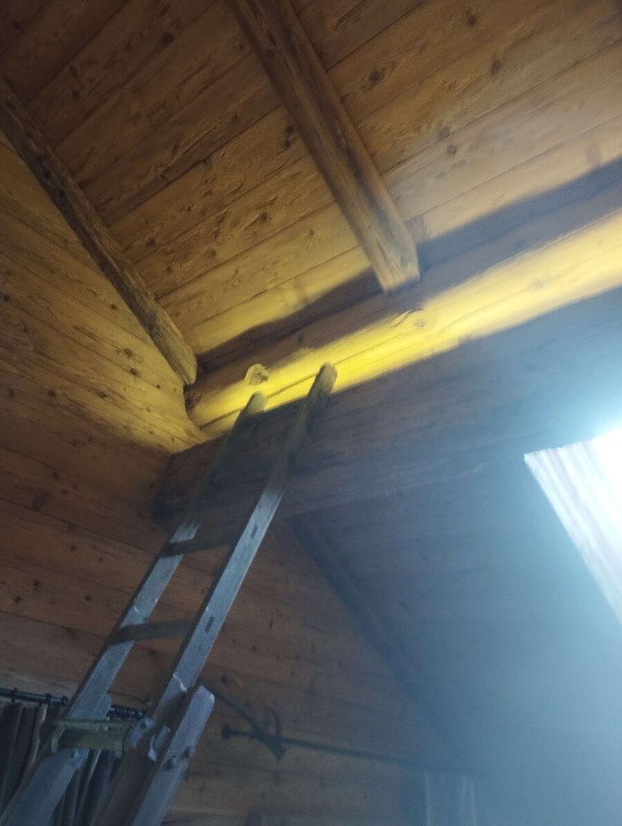 Bee nest at the house remove