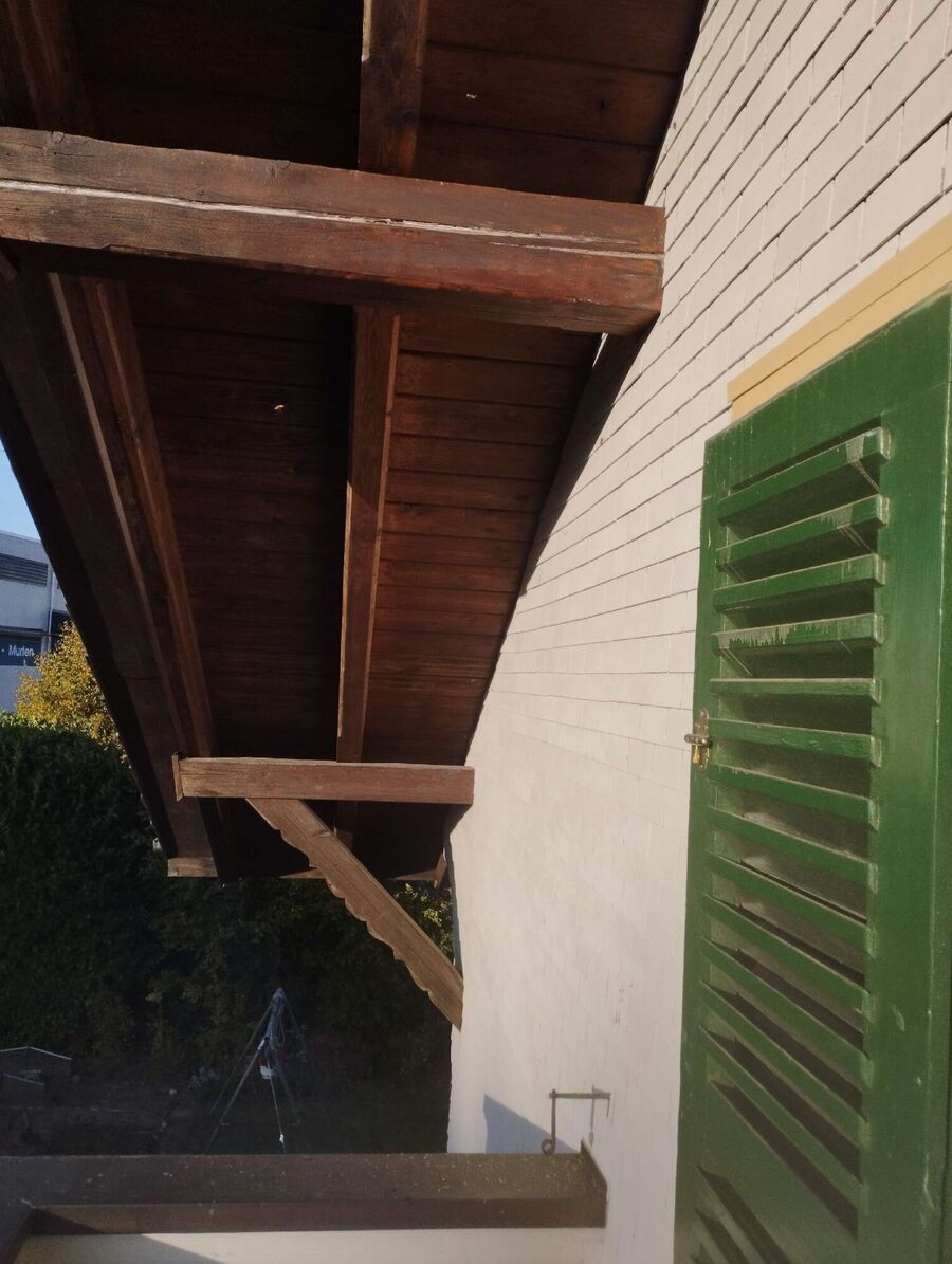 Bee nest at the house remove