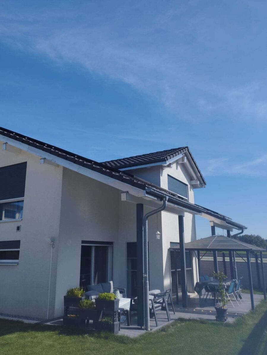 Bee nest at the house remove