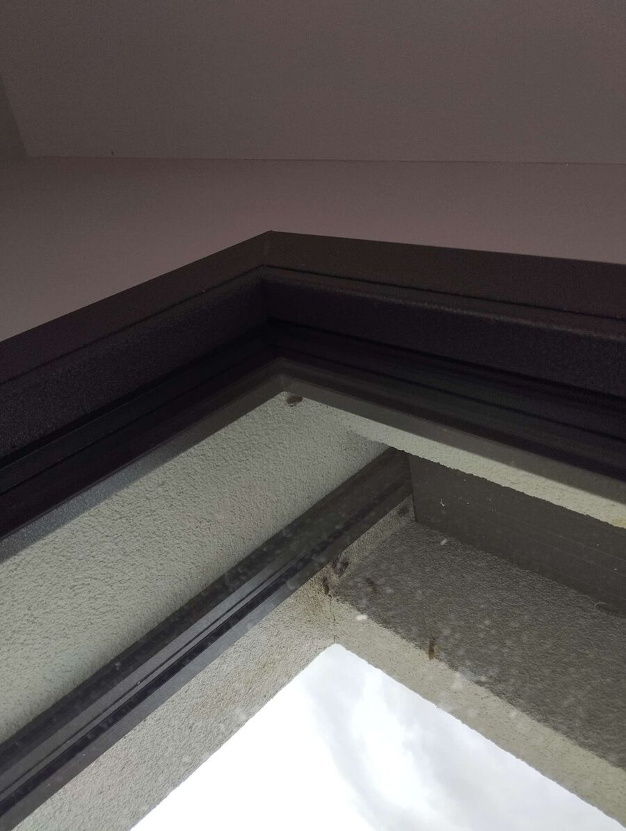 Bee nest at the house remove