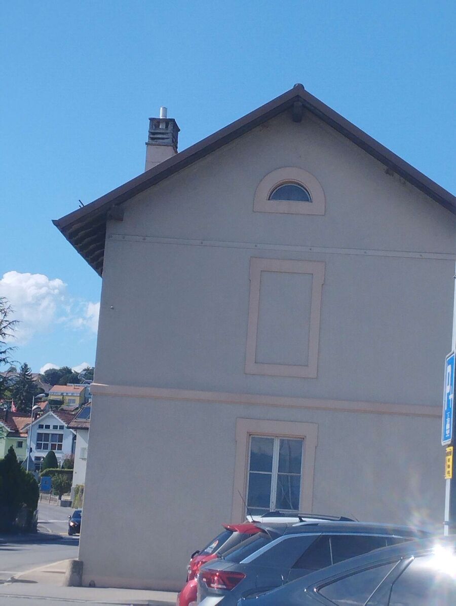 Relocate bees & remove bee nest