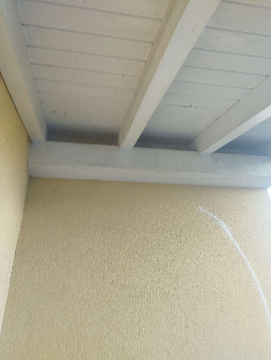 Bee nest at the house remove