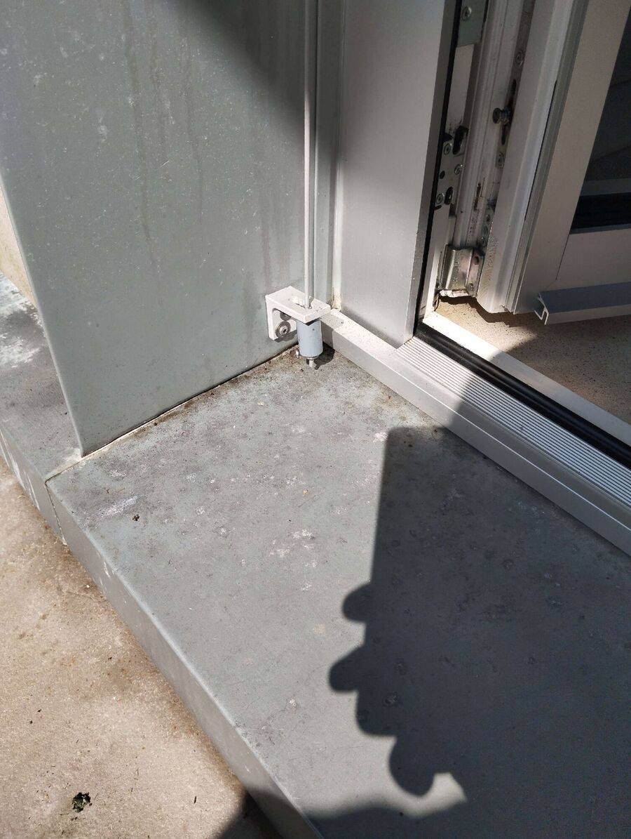 Relocate bees & remove bee nest