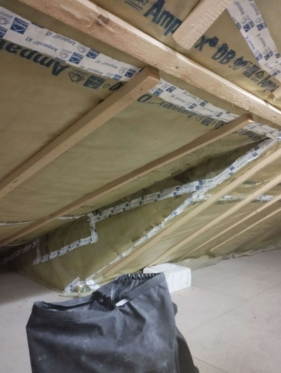 Relocate bees & remove bee nest