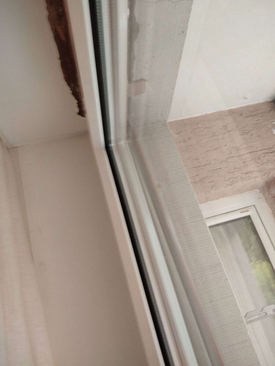 Bee nest at the house remove